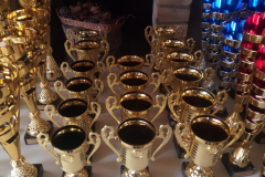 14.ABL NOSLĒGUMA PASĀKUMS – VIESU NAMS KLĀŅAS