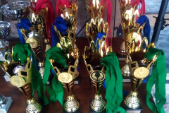 14.ABL NOSLĒGUMA PASĀKUMS – VIESU NAMS KLĀŅAS