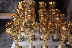 14.ABL NOSLĒGUMA PASĀKUMS – VIESU NAMS KLĀŅAS