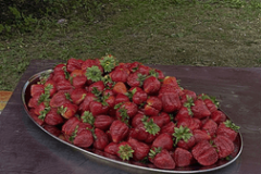 17.ABL-Nosleguma-pasakums-226