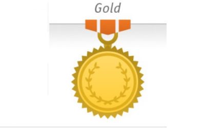 Spēlētāju labākie individuālie rezultāti 17.ABL – Gold divizions