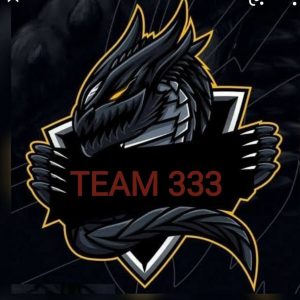 Team 333